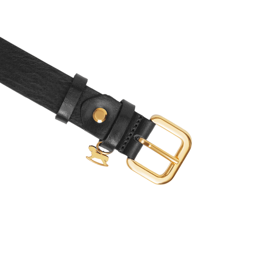 Leather belt with a gold buckle and signature charm