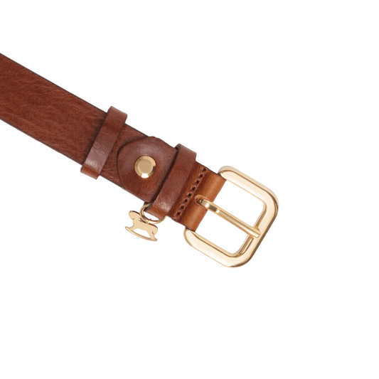 Leather belt with a gold buckle and signature charm