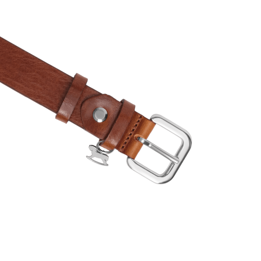 Leather belt with a silver buckle and signature charm